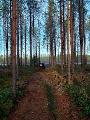 19.10.2026 vandring i Ytteresse